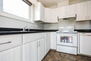 Photo 11: 299 Springfield Road in Winnipeg: North Kildonan Residential for sale (3F)  : MLS®# 202221130