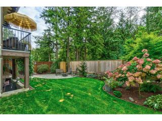 Photo 19: 23036 134 Loop in Maple Ridge: Silver Valley House for sale in "Hampstead" : MLS®# R2403799