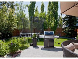 Photo 38: 67 CHAPMAN Way SE in Calgary: Chaparral House for sale : MLS®# C4065212