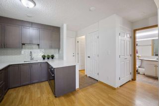 Photo 6: 104C 5601 Dalton Drive NW in Calgary: Dalhousie Apartment for sale : MLS®# A1236993