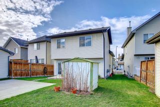 Photo 29: 95 Cranberry Place SE in Calgary: Cranston Detached for sale : MLS®# A1217870