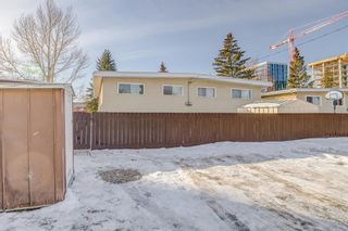 Photo 31: 4414 & 4416 Dalhousie Drive NW in Calgary: Dalhousie Full Duplex for sale : MLS®# A2019678