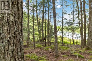 Photo 20: Lot 2 Smugglers Cove Road in Labelle: Vacant Land for sale : MLS®# 202317335