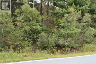 Photo 2: Lot Highway 332|PID#60670494 in East Lahave: Vacant Land for sale : MLS®# 202319458