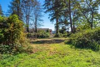 Photo 48: 3908 S Island Hwy in Campbell River: CR Campbell River South House for sale : MLS®# 916061