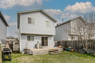 Photo 21: 41 Martindale Boulevard NE in Calgary: Martindale Detached for sale : MLS®# A1209353