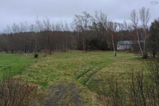 Photo 6: 03 1E Point Forty Four Road in Little Harbour: 108-Rural Pictou County Vacant Land for sale (Northern Region)  : MLS®# 202209167
