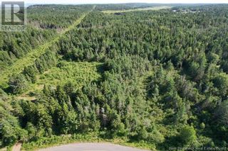 Photo 4: - Dark Harbour Road in Grand Manan: Vacant Land for sale : MLS®# NB102570