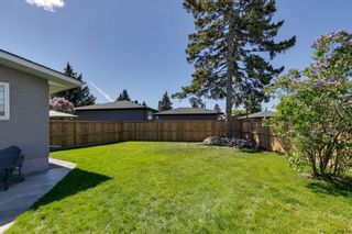 Photo 39: 824 Avonlea Place SE in Calgary: Acadia Detached for sale : MLS®# A2137571
