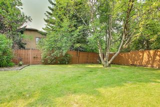 Photo 16: 172 Edendale Way NW in Calgary: Edgemont Detached for sale : MLS®# A1133694