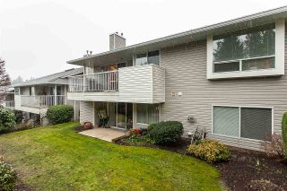 Photo 20: 26 32615 MURRAY Avenue in Abbotsford: Abbotsford West Townhouse for sale in "MORNINGSIDE PARK" : MLS®# R2433072