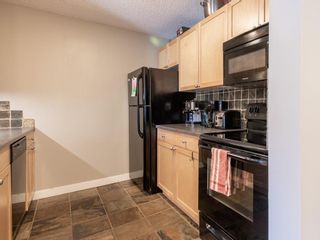 Photo 11: 311 930 18 Avenue SW in Calgary: Lower Mount Royal Apartment for sale : MLS®# C4299284