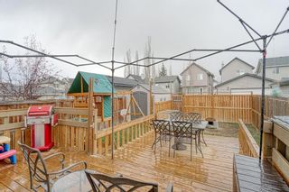Photo 35: 53 Cramond Circle SE in Calgary: Cranston Detached for sale : MLS®# A1216665