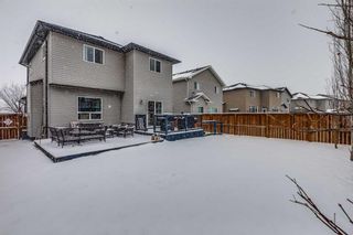 Photo 29: 2834 Chinook Winds Drive SW: Airdrie Detached for sale : MLS®# A2117036
