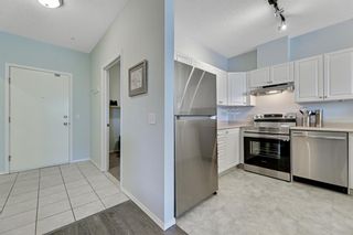 Photo 3: 117 838 19 Avenue SW in Calgary: Lower Mount Royal Apartment for sale : MLS®# A1250805