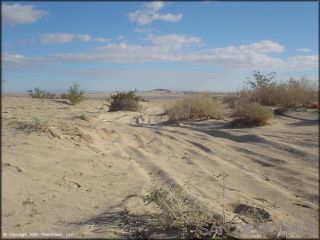 Main Photo: BORREGO SPRINGS Property for sale: 11th Street