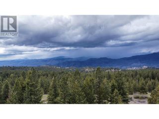 Photo 6: 1375 Bullmoose Way in Osoyoos: Vacant Land for sale : MLS®# 10310061