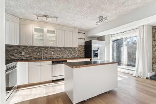 Photo 10: 6 2031 34 Avenue SW in Calgary: Altadore Apartment for sale : MLS®# A2105013
