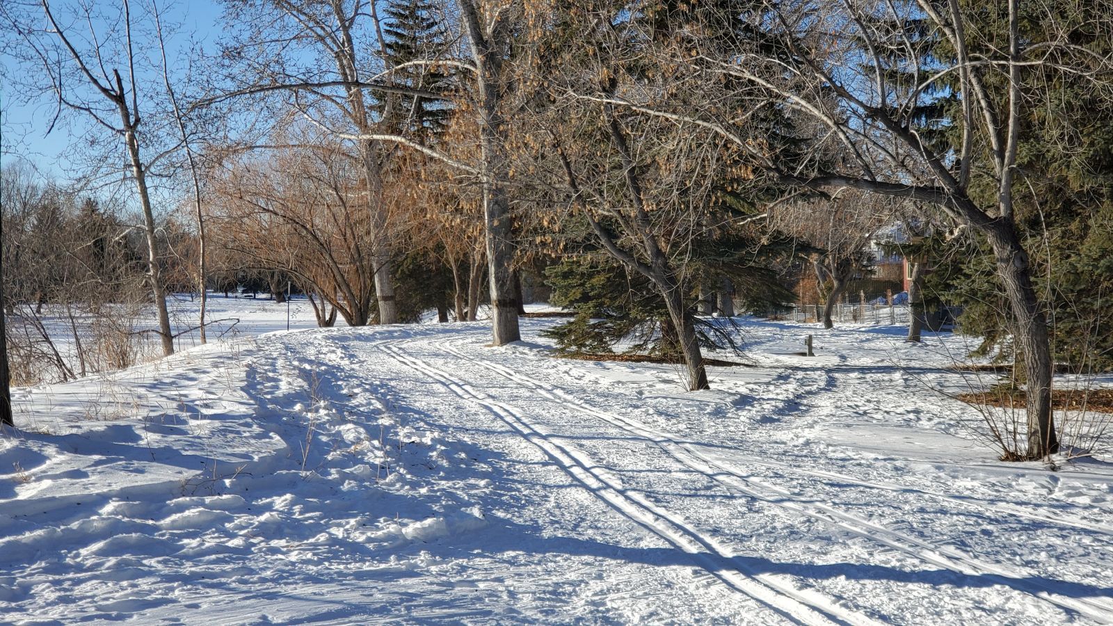 Cross-Country Skiing in and around Calgary