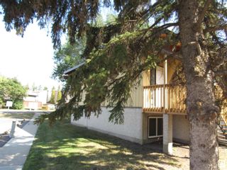 Photo 25: 238 RICHFIELD Road in Edmonton: Zone 29 House Half Duplex for sale : MLS®# E4310779