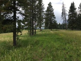 Photo 2: 33054 Range Road 51: Rural Mountain View County Residential Land for sale : MLS®# A2032085