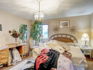Photo 13: 3912 Braefoot Rd in Saanich: SE Cedar Hill Single Family Residence for sale (Saanich East)  : MLS®# 951237