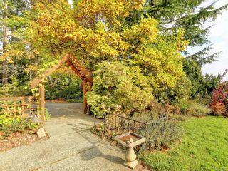 Photo 4: 6466 Oldfield Rd in Central Saanich: CS Saanichton House for sale : MLS®# 947100