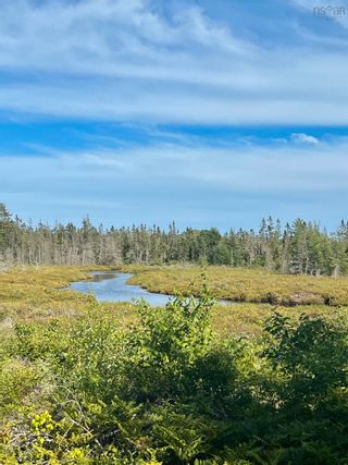 Photo 8: No 3 Highway in Walls Lake: 407-Shelburne County Vacant Land for sale (South Shore)  : MLS®# 202217944