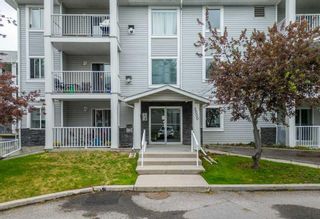 Photo 4: 305 5305 Valleyview Park SE in Calgary: Dover Apartment for sale : MLS®# A2059971