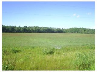 Photo 7: 44044 HWY 304 in STEAD: Manitoba Other Residential for sale : MLS®# 2803451