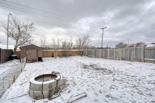 Photo 44: 124 Bedford Circle NE in Calgary: Beddington Heights Detached for sale : MLS®# A1190754