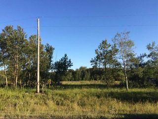 Photo 2: 63 Shady Lane in Grunthal: Vacant Land for sale : MLS®# 202310202