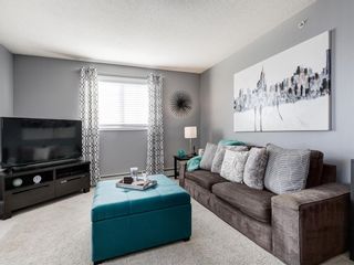 Photo 21: 3426 10 PRESTWICK Bay SE in Calgary: McKenzie Towne Apartment for sale : MLS®# A1023715