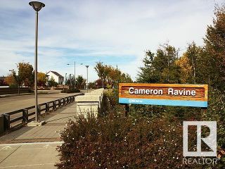 Photo 17: 4165 CAMERON HEIGHTS Point in Edmonton: Zone 20 Vacant Lot/Land for sale : MLS®# E4370919