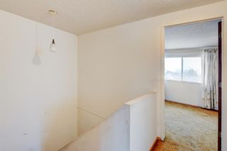 Photo 15: 16 Fonda Crescent SE in Calgary: Forest Heights Semi Detached (Half Duplex) for sale : MLS®# A2016647