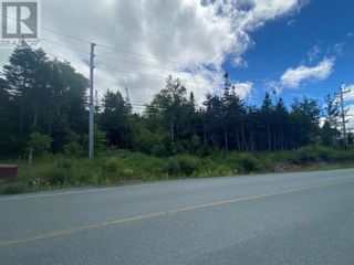Photo 3: 993-995 Indian Meal Line in Portugal Cove: Vacant Land for sale : MLS®# 1253920