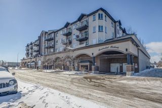 Photo 21: 404 1727 54 Street SE in Calgary: Penbrooke Meadows Apartment for sale : MLS®# A2029798