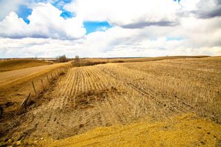 Photo 1: On Range Road 244: Rural Red Deer County Residential Land for sale : MLS®# A2034530