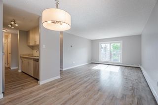 Photo 11: 317 723 57 Avenue SW in Calgary: Windsor Park Apartment for sale : MLS®# A2051821