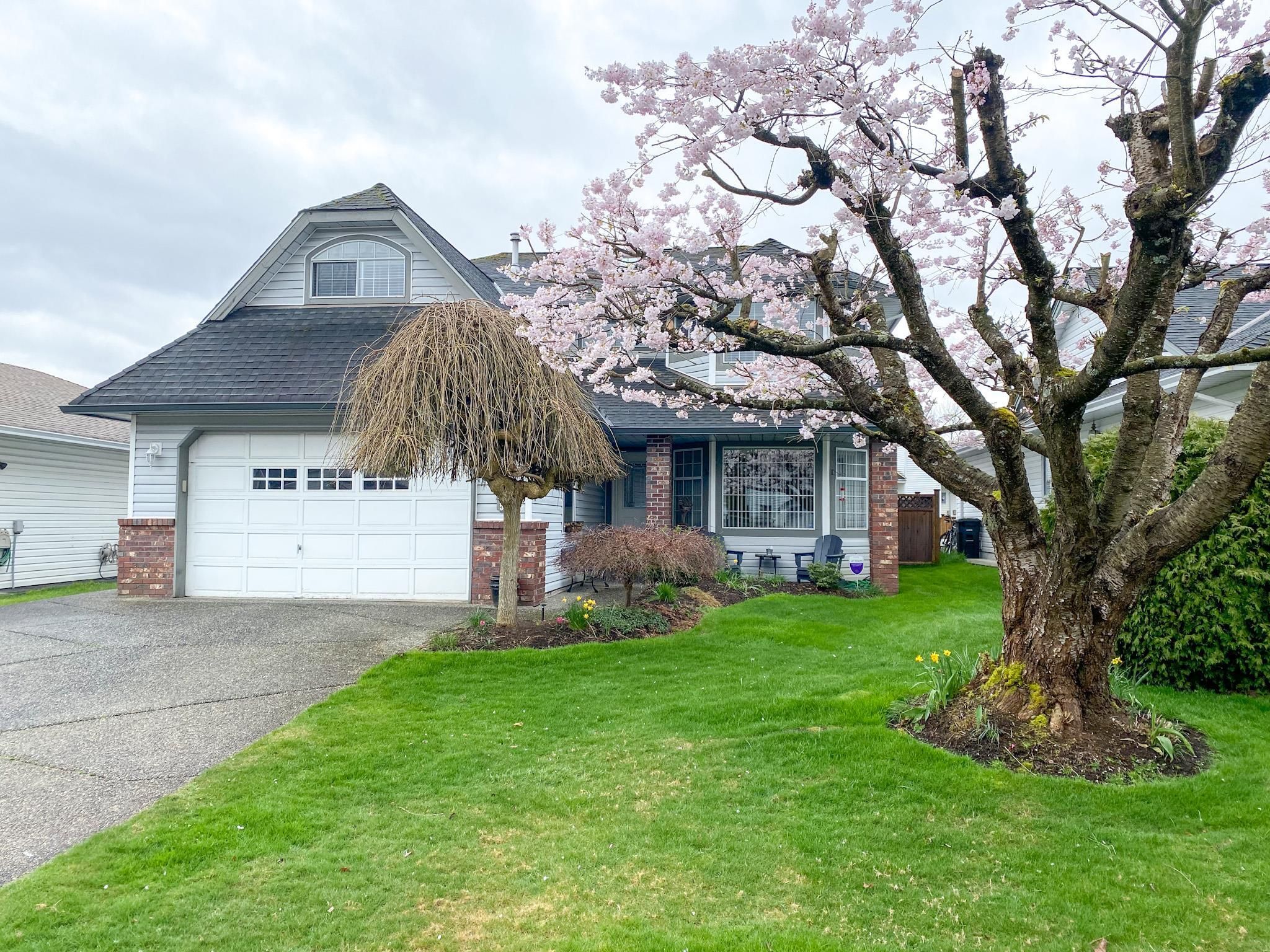 Main Photo: 19635 SOMERSET Drive in Pitt Meadows: Mid Meadows House for sale : MLS®# R2671891