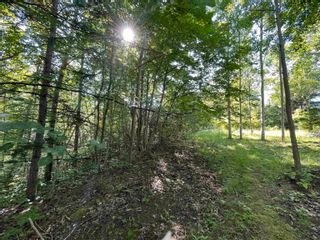 Photo 3: Lot 21-1 Seaview Cemetary Road in Bay View: 108-Rural Pictou County Vacant Land for sale (Northern Region)  : MLS®# 202219438