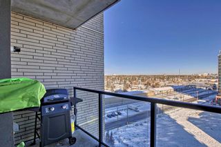Photo 31: 1011 8880 Horton Road SW in Calgary: Haysboro Apartment for sale : MLS®# A2096199