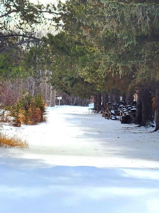 Photo 11: : Rural Wetaskiwin County House for sale : MLS®# E4326481