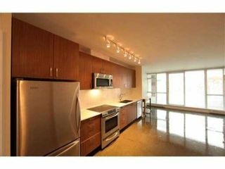 Photo 3: # 304 221 UNION ST in Vancouver: Mount Pleasant VE Condo for sale (Vancouver East)  : MLS®# V1001155
