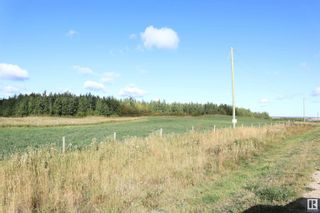Photo 7: Hwy 611 RR 11: Rural Ponoka County Rural Land/Vacant Lot for sale : MLS®# E4314403
