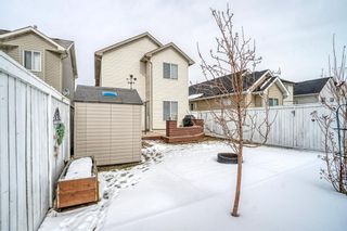 Photo 36: 427 Bridlewood Avenue SW in Calgary: Bridlewood Detached for sale : MLS®# A1187607