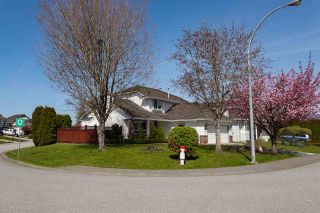 Photo 2: 19660 SOMERSET Drive in Pitt Meadows: Mid Meadows House for sale : MLS®# R2261626