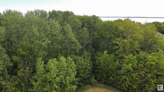 Photo 8: 47 15025 Twp Rd 470: Rural Wetaskiwin County Vacant Lot/Land for sale : MLS®# E4391444