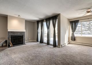 Photo 17: 5 215 Village Terrace SW in Calgary: Patterson Apartment for sale : MLS®# A2011286