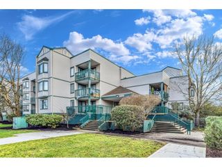 Photo 1: 203 20454 53 AVENUE in Langley: Langley City Condo for sale : MLS®# R2663019